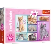 Puzzle 60 elementów Słodkie kociaki koty kotki puzle z kotami dla dzieci 4+