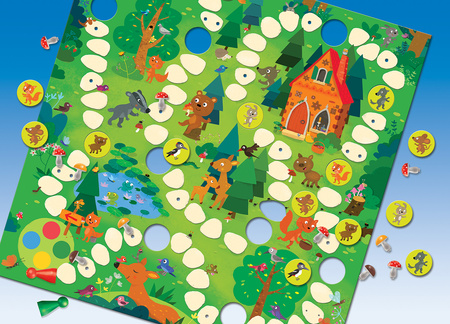 Grzybobranie w zaczarowanym lesie gra planszowa dla dzieci 4+ grzybki PL