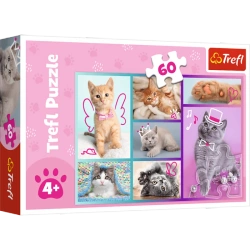 Puzzle 60 elementów Słodkie kociaki koty kotki puzle z kotami dla dzieci 4+