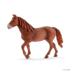 SCHLEICH 13870 KLACZ RASY MORGAN koń konie