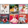 PUZZLE WESOŁE PSY puzle z psami pieski dla miłośników 200 elementów MARKOWE