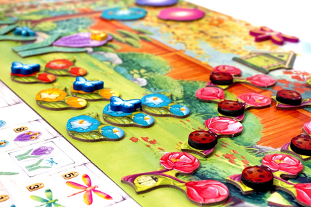 2w1 PERGOLA PRZEPIĘKNA gra planszowa ogrody ogród PIĘKNA WIELKA EDYCJA POLSKA