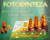 OUTLET FOTOSYNTEZA gra planszowa strategiczna PORTAL