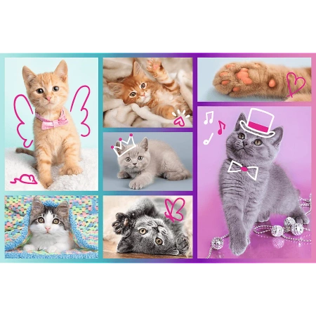 Puzzle 60 elementów Słodkie kociaki koty kotki puzle z kotami dla dzieci 4+