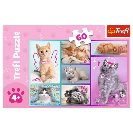 Puzzle 60 elementów Słodkie kociaki koty kotki puzle z kotami dla dzieci 4+
