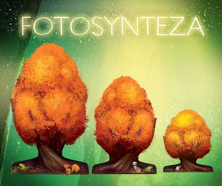 OUTLET FOTOSYNTEZA gra planszowa strategiczna PORTAL