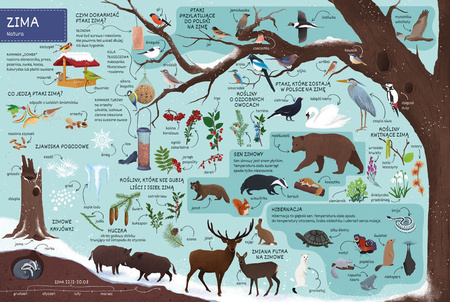 Co jest w środku? Pory Roku książka dla dzieci ILUSTROWANA Nasza Księgarnia