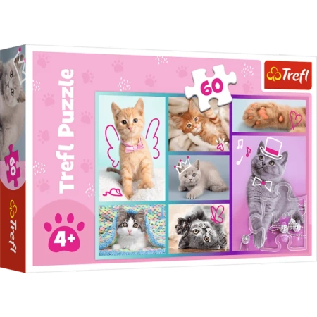 Puzzle 60 elementów Słodkie kociaki koty kotki puzle z kotami dla dzieci 4+