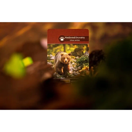 OUTLET ZIEMIA EARTH PRZEPIĘKNA WIELKA PLANSZOWA STRATEGICZNA GRA ROKU GOLDEK GEEK