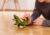 Schleich 70155 FANTASY KROKODYL ALIGATOR Z BAGIEN figurka kolekcjonerska