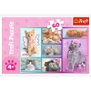 Puzzle 60 elementów Słodkie kociaki koty kotki puzle z kotami dla dzieci 4+