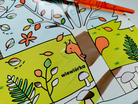 WODNE PRZYGODY PRZYRODA AKADEMIA MĄDREGO DZIECKA wodna książka dla dzieci