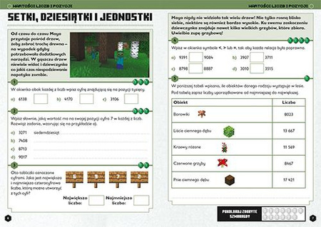 MATEMATYKA MEGA ZADANIA MINECRAFT zabawa i nauka książka dla dzieci 10+