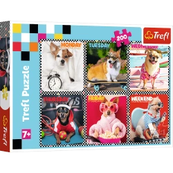 PUZZLE WESOŁE PSY puzle z psami pieski dla miłośników 200 elementów MARKOWE