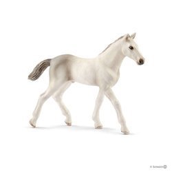 SCHLEICH 17079 KOŃ HOLSZTYŃSKI ŹREBIĘ koń