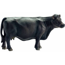 Schleich 13767 krowa rasy black angus figurka zabawka Farm Life farma