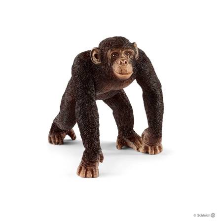 SCHLEICH 17058 SZYMPANS SAMIEC małpa zwierzę figurka kolekcjonerska PREMIUM